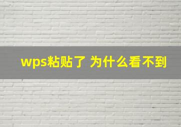 wps粘贴了 为什么看不到